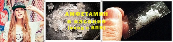 стаф Белокуриха