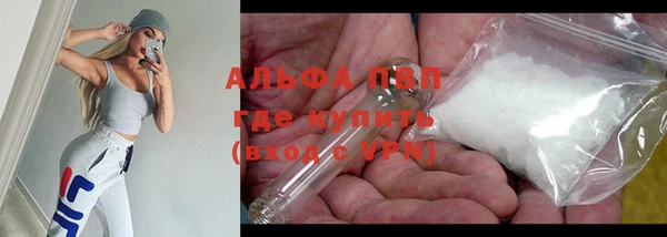 стаф Белокуриха