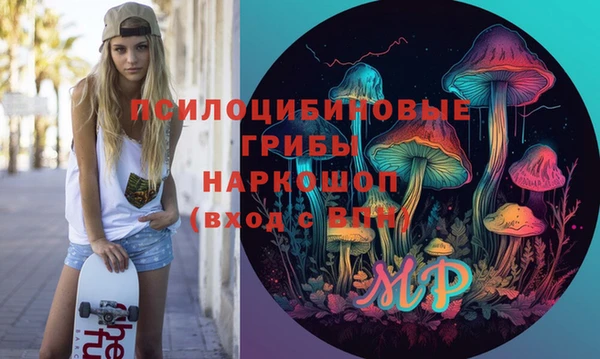гашик Белоозёрский