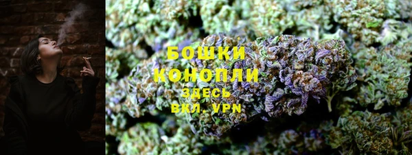гашик Белоозёрский